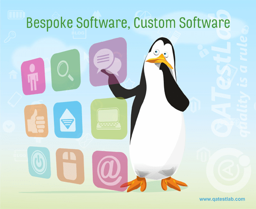 Bespoke Software, Custom Software