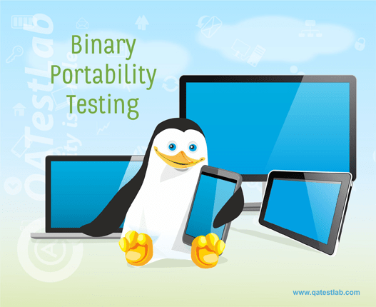 Binary Portability Testing