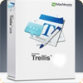 Marblewire Trellis 2011 Training Evaluation Software