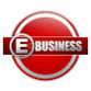 Features of Performance Testing in the Management of E-Business