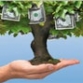 Economics of Testing