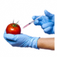 Fault Injection Testing
