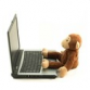 Monkey Testing