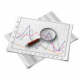 Operational Profile Testing