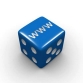 How to Test Word Wide Web Sites?