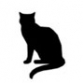 Superstitions in Software Testing