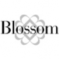 Audit.Blossom