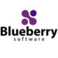 Blueberry Launches Version 3.0 of Its Software Testing Tool for Developers