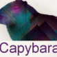 Capybara