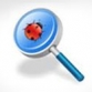 What Is a Bug?