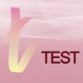 "QATestLab" participated in the conference for testing and quality assurance professionals - "TestLabs 2009"