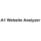 A1 Website Analyzer