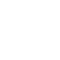 icon manual testing