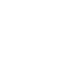 icon expert qa