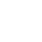 icon report